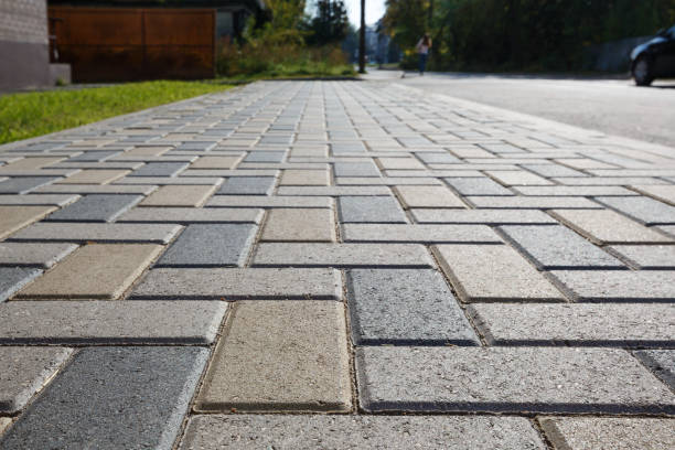 Best Residential Paver Driveway  in Burgaw, NC