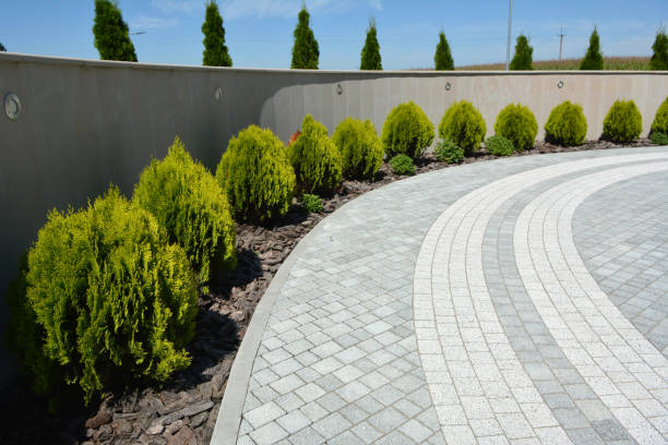 Best Interlocking Driveway Pavers  in Burgaw, NC